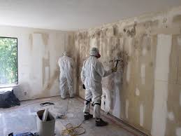 Best Real Estate Mold Inspection  in El Lago, TX